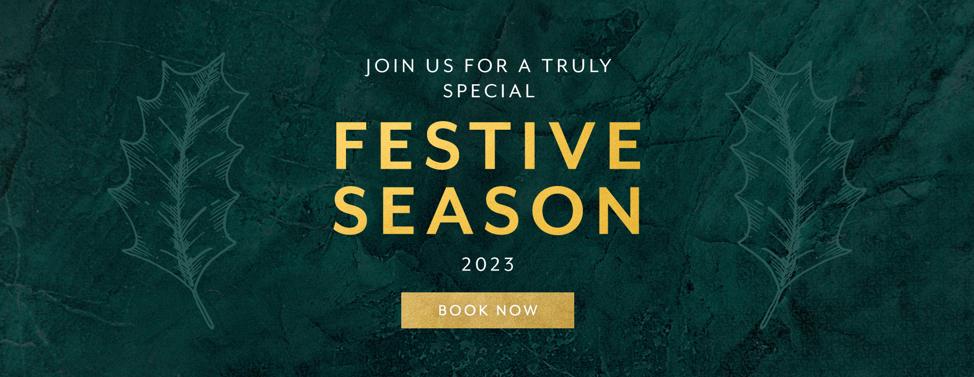 Christmas 2023 at Alderley Edge
